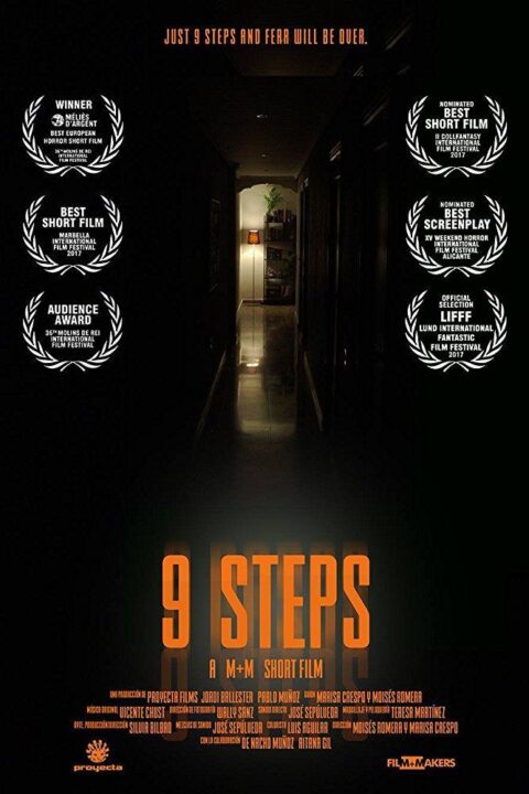 9 pasos