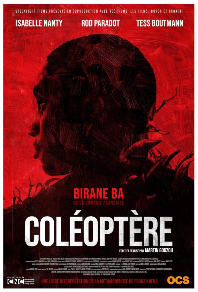 Coleoptere poster