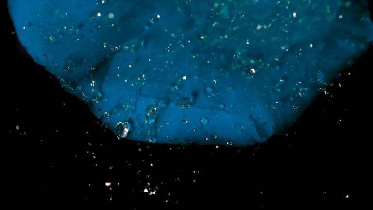 The Méliès International Festivals Federation welcomes Curtas Festival do Imaxinario and the Galician Freaky Film Festival