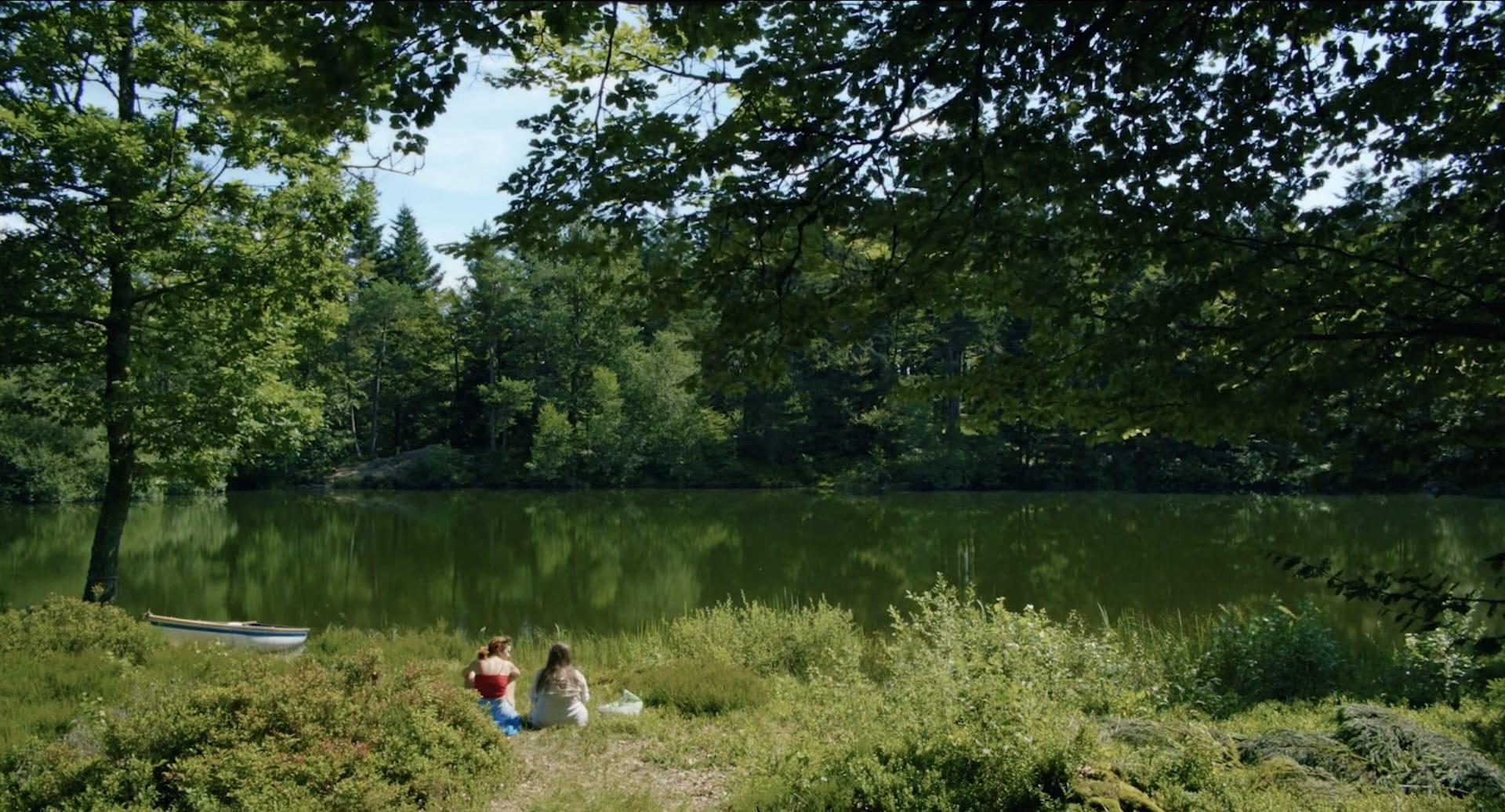 Dammen scene